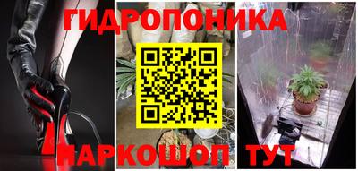 сатива Лесосибирск
