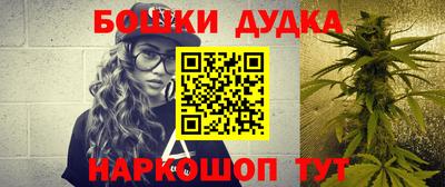 сатива Лесосибирск