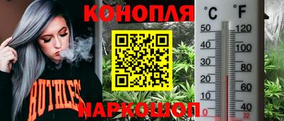 сатива Лесосибирск
