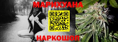 сатива Лесосибирск