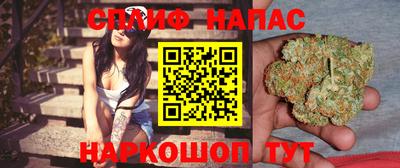 шишки Ливны