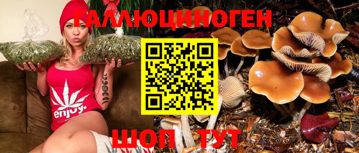 Электрогорск  Псилоцибиновые грибы Psilocybe  Галлюциногенные грибы прущие грибы  дарнет шоп  Вход с VPN 