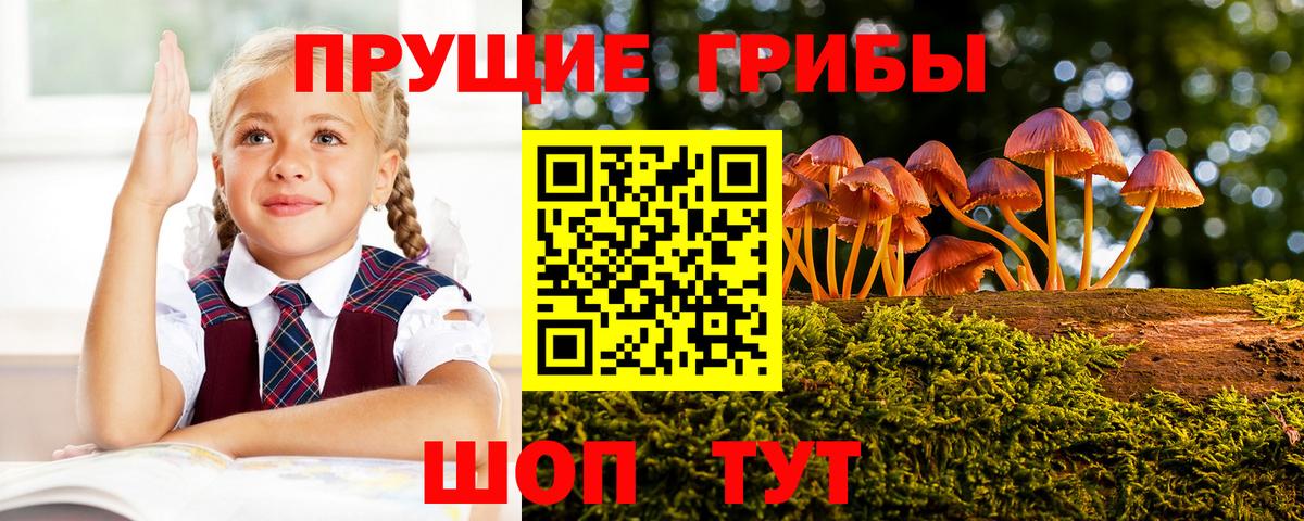 Псилоцибиновые грибы мухоморы Электрогорск
